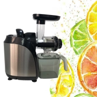 Slow Juicer Blender